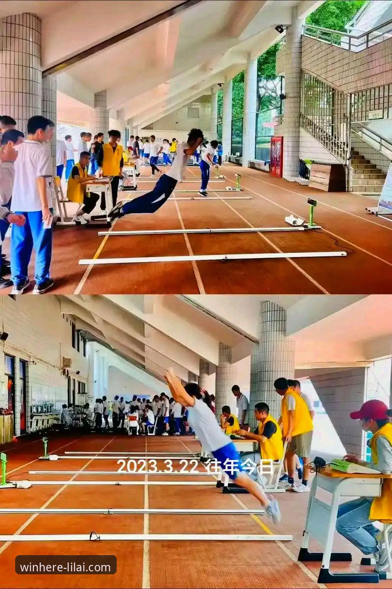 利来体育平台2024最新版解析：专业竞技体验与功能详解